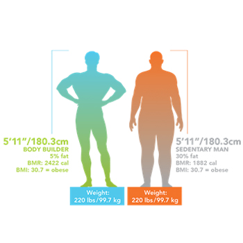 weight composition weight composition