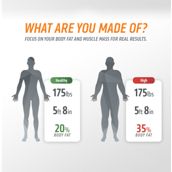 what are you made of what are you made of